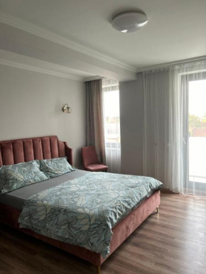 Becca’s Downtown Apartment with private parking